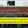 HNGU Result 2024 OUT Download