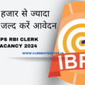 IBPS RBI Clerk Vacancy 2024