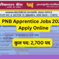 PNB Apprentice Jobs 2024 Apply Online