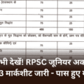 RPSC Junior Accountant Exam 2023 Mark Sheet