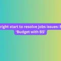 Budget a right start to resolve jobs issues_ Experts at ‘Budget with BS’