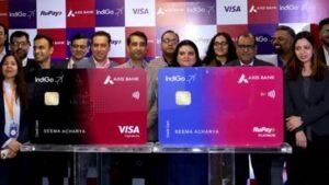 visa indigo