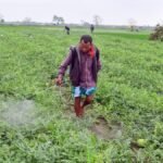 Iran war impact: Pesticide industry warns of price rise, spread of fake materials