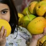 West Asia crisis: Export uncertainty hits mango trade, Karnataka farmers explore alternative and local markets